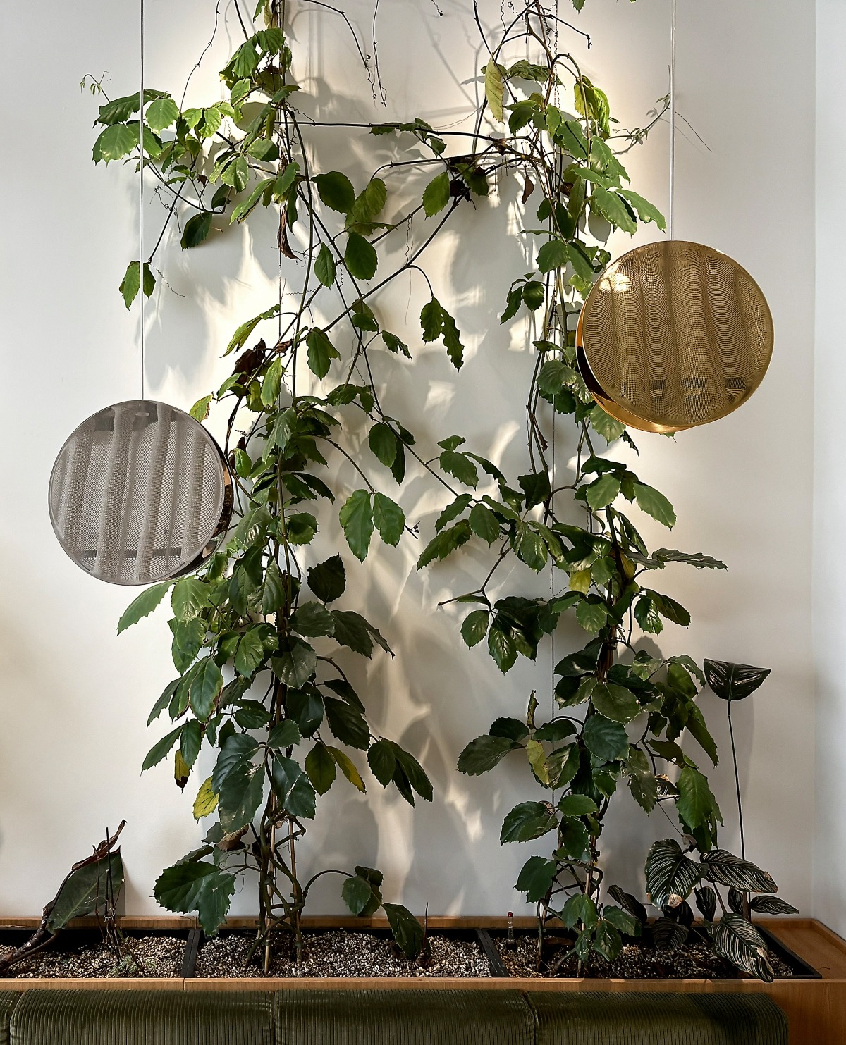 Büro Pankrath Projektbilder